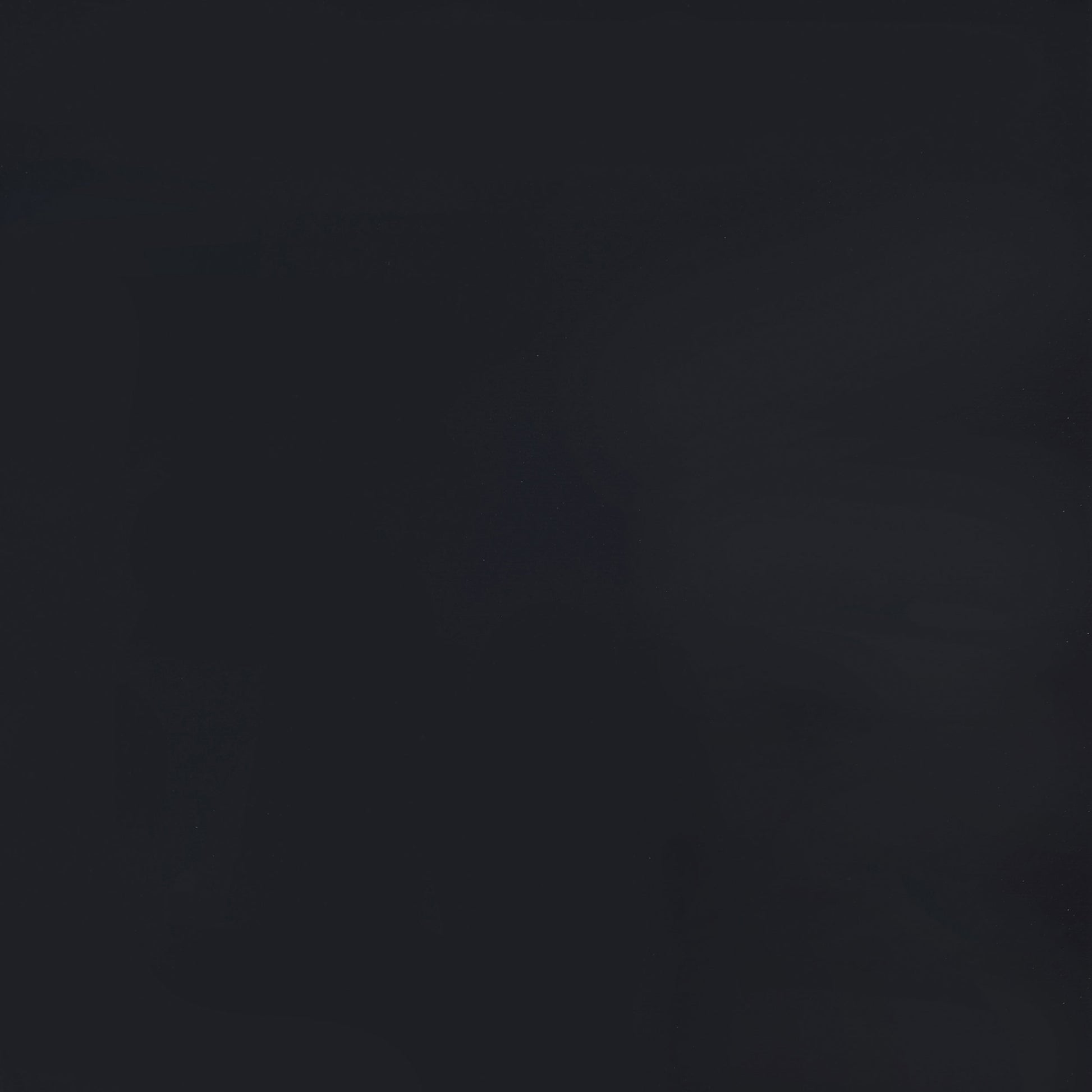 Carrie 3-Panel Room Divider Folding Shoji Screen Black