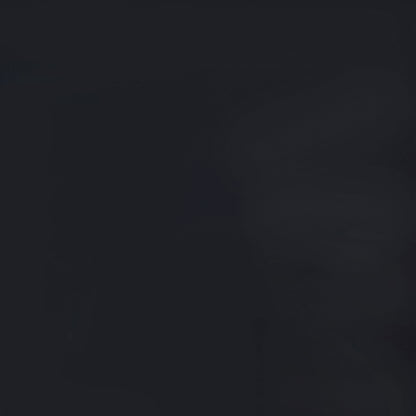 Carrie 3-Panel Room Divider Folding Shoji Screen Black